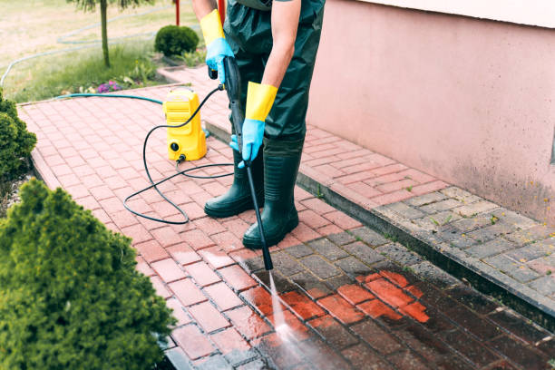 Local Pressure Washing Services in Luckey, OH