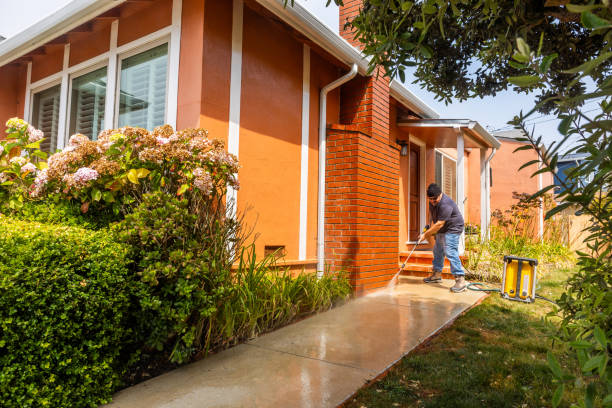 Best Pressure Washing Siding  in Luckey, OH