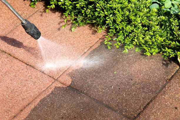 Best Sidewalk Pressure Washing  in Luckey, OH